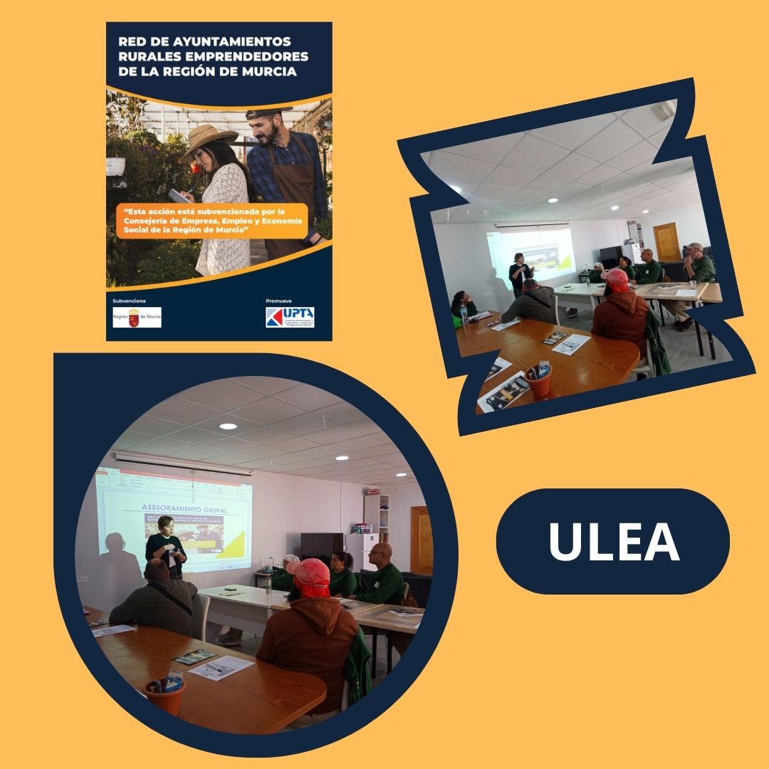 1-ULEA Asesoramientos
